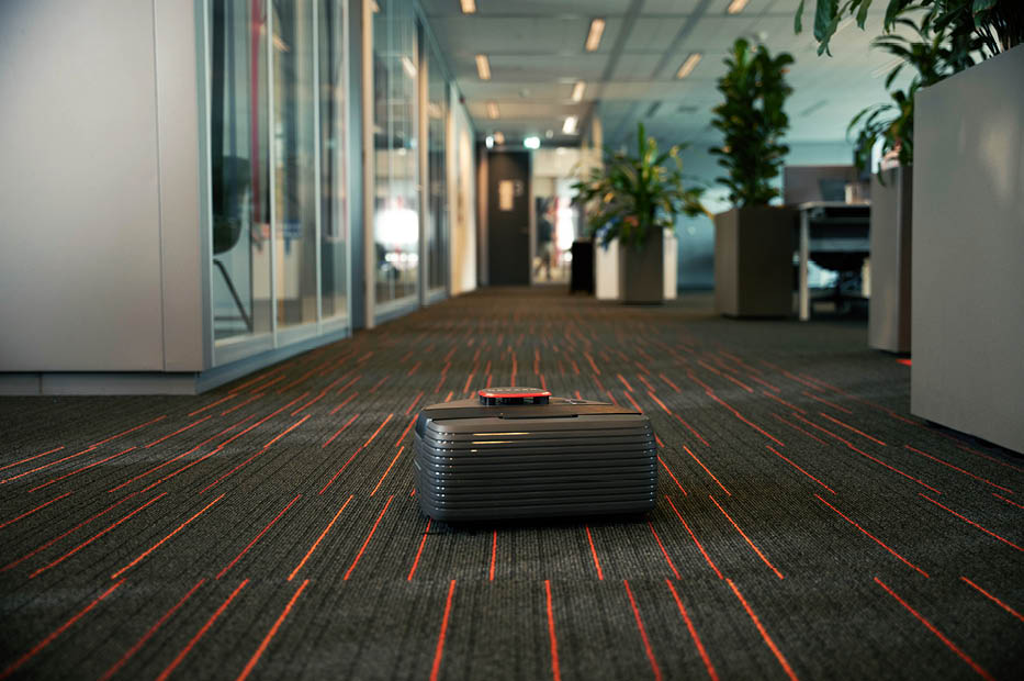 A robot vacuum cleans the carpeted floor of a modern, plant-filled office hallway.