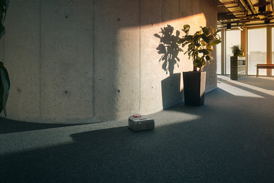 A small robot vacuum cleans the carpet near a potted plant in a sunlit modern office space.